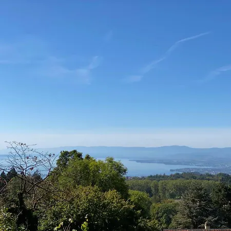 Petite Maison A L'Oree Des Bois Vue Magnifique Sur Le Lac Zenitude Et Plenitude Belmont-sur-Lausanne Exterior photo