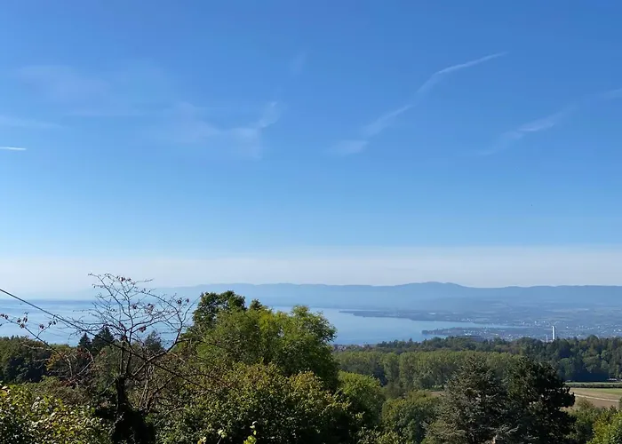 Petite Maison A L\'Oree Des Bois Vue Magnifique Sur Le Lac Zenitude Et Plenitude