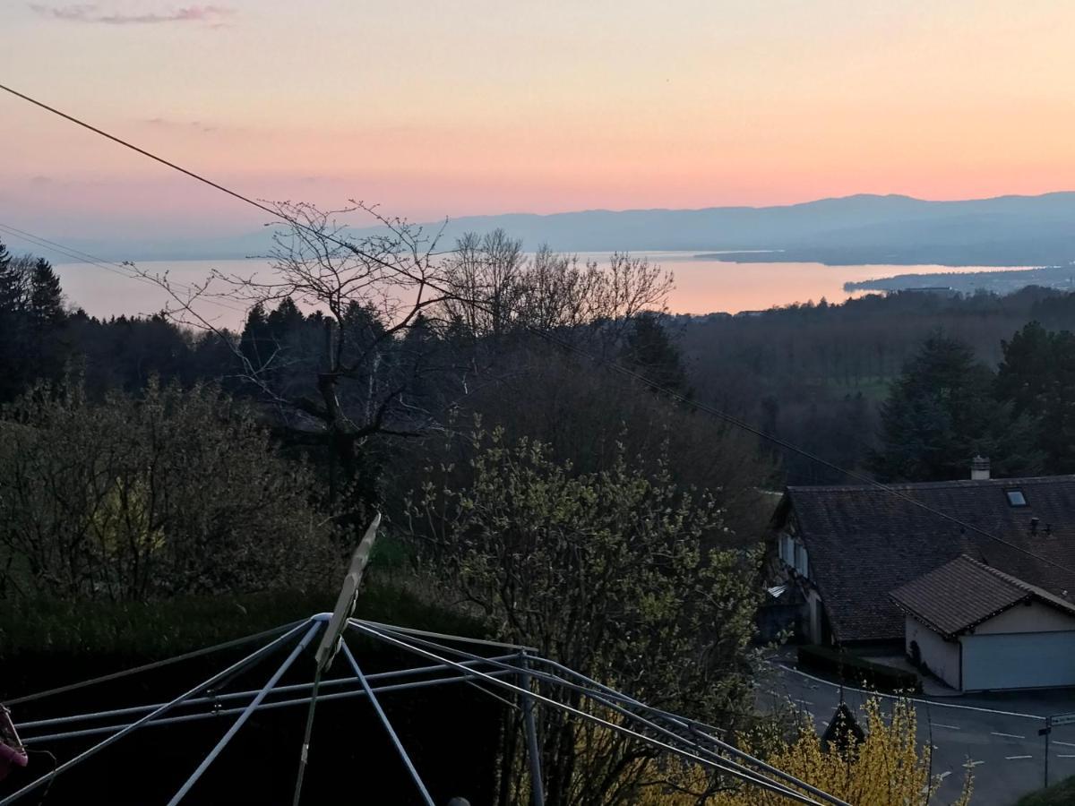 Petite Maison A L'oree Des Bois Vue Magnifique Sur Le Zenitude Et Plenitude Holiday home Belmont-sur-Lausanne
