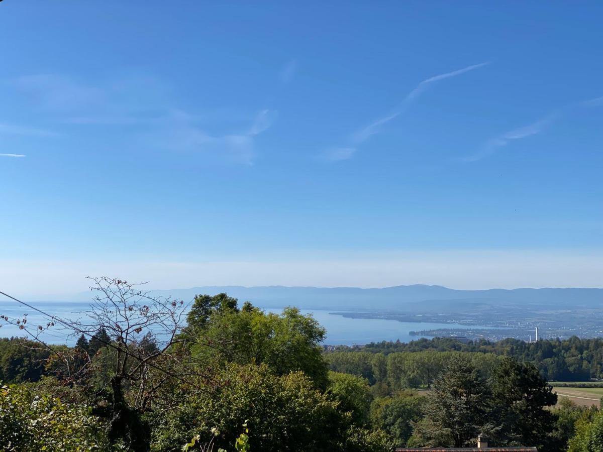 Petite Maison A L'oree Des Bois Vue Magnifique Sur Le Zenitude Et Plenitude Holiday home *
