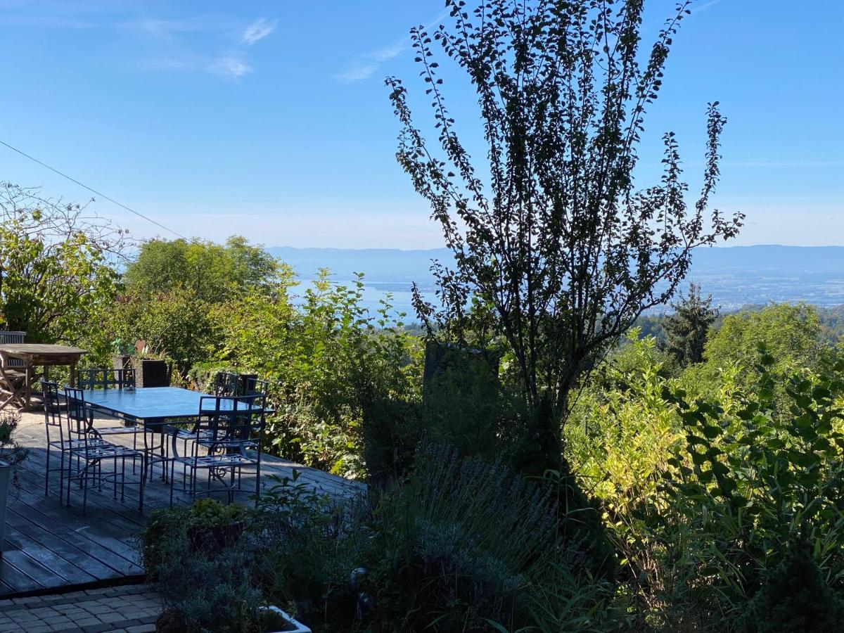 Petite Maison A L'oree Des Bois Vue Magnifique Sur Le Zenitude Et Plenitude * Belmont-sur-Lausanne