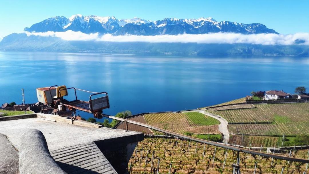 Petite Maison A L'oree Des Bois Vue Magnifique Sur Le Zenitude Et Plenitude Belmont-sur-Lausanne