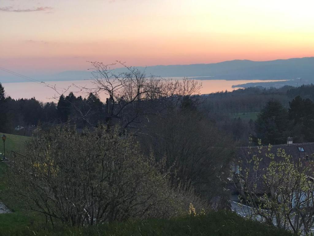 Petite Maison A L'oree Des Bois Vue Magnifique Sur Le Zenitude Et Plenitude Holiday home *